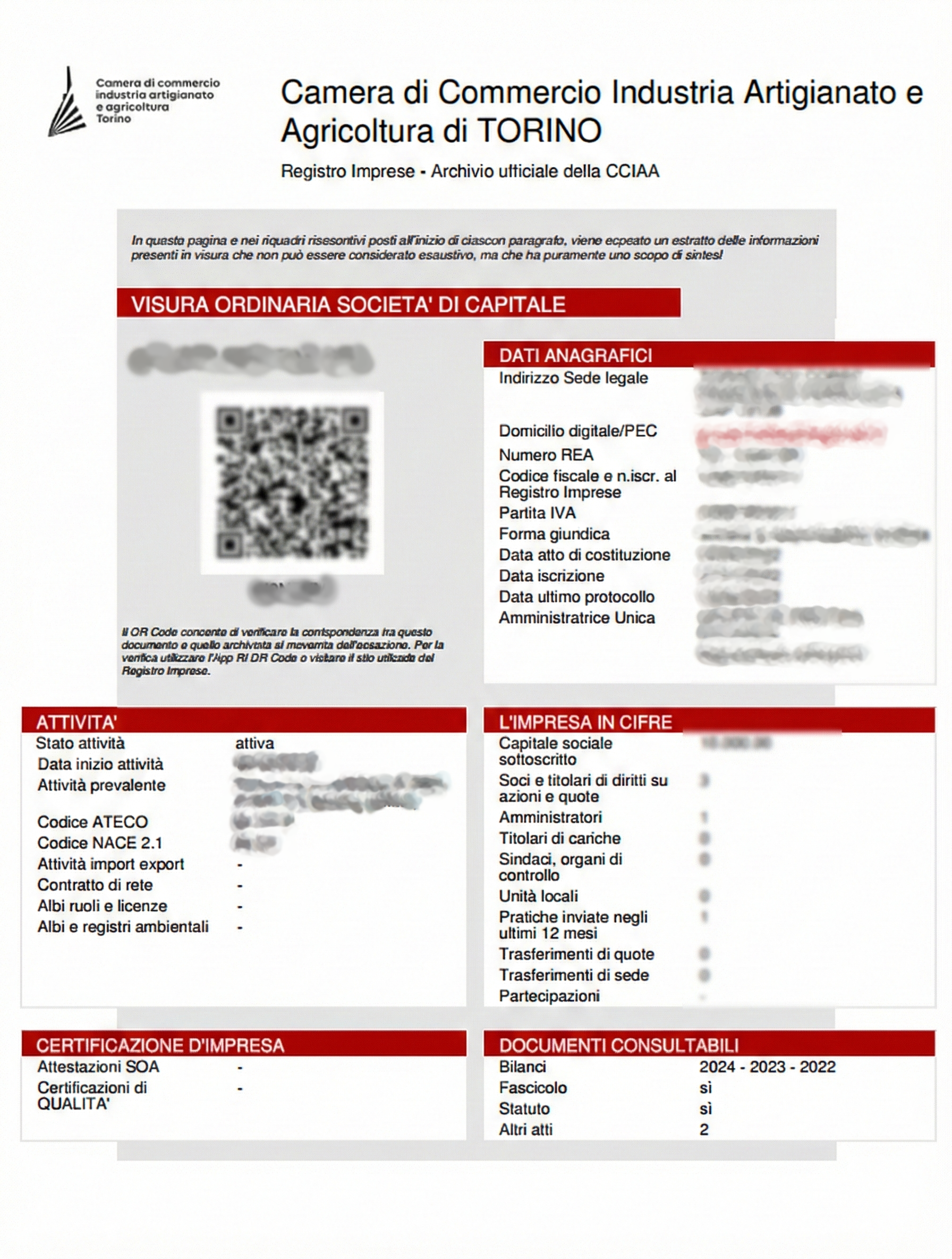 visura camerale esempio product